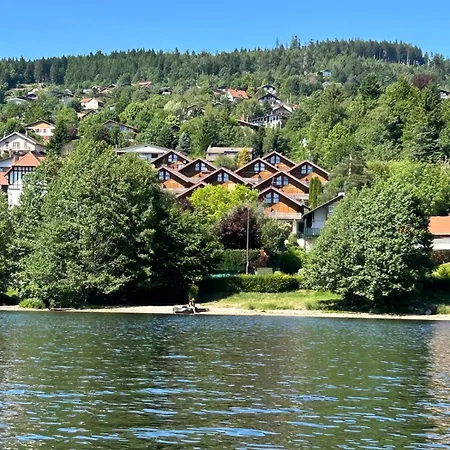 Domaine Coup De Coeur - Le Belvedere Du * Gérardmer